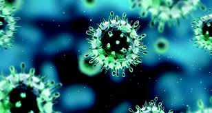 Immune System Booster (Anti-Viral Supplement)