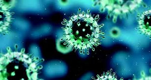 Immune System Booster (Anti-Viral Supplement)