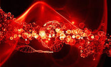 Load image into Gallery viewer, Inflammatory &amp; Immune System Balance (60 ct)