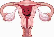 Menstrual Support (60ct)